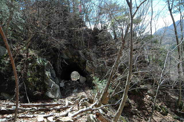 ����X�ѓS�����͐�,�ѓS,�p����,詓�,�g���l��