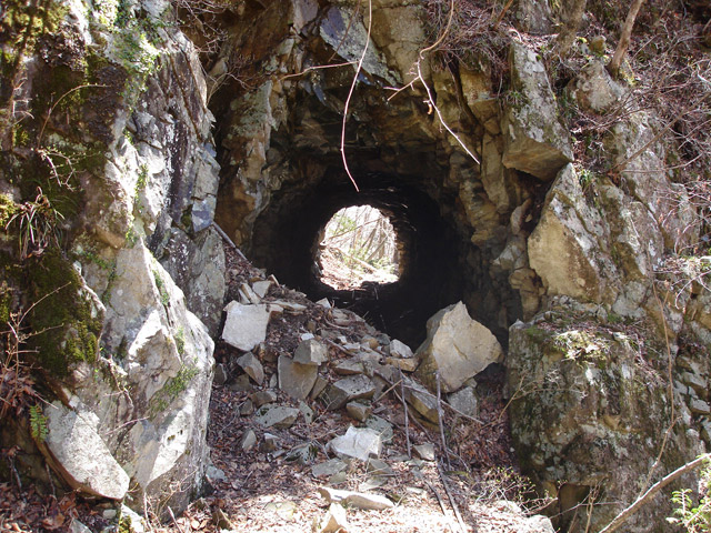 ����X�ѓS�����͐�,�ѓS,�p����,詓�,�g���l��