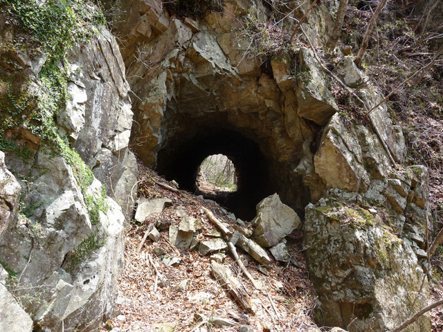 ����X�ѓS�����͐�,�ѓS,�p����,詓�,�g���l��