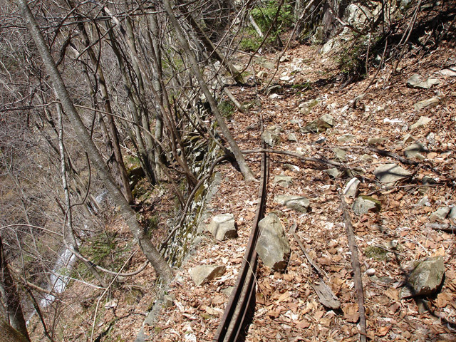 ����X�ѓS�����͐�,�ѓS,�p����,詓�,�g���l��