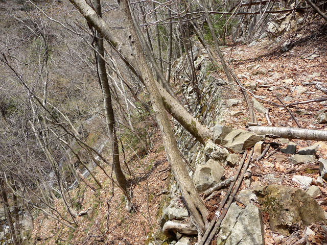 ����X�ѓS�����͐�,�ѓS,�p����,詓�,�g���l��