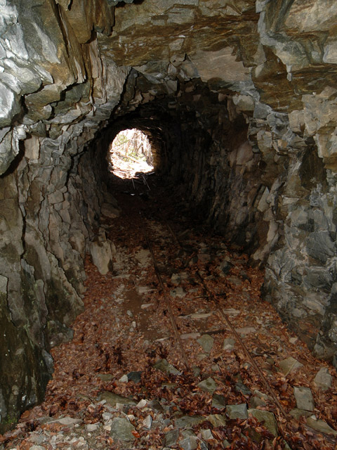 ����X�ѓS�����͐�,�ѓS,�p����,詓�,�g���l��,�㕔�O��