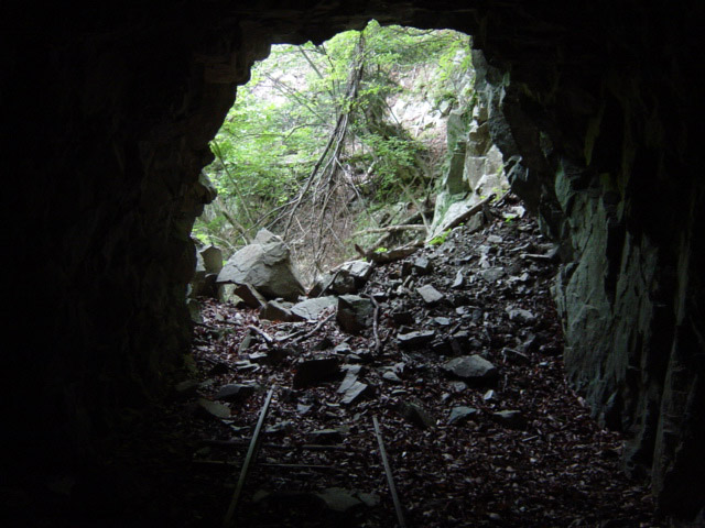 ���͐X�ѓS��,�ѓS,�p����,詓�,�g���l��,�㕔�O��,����c�я�