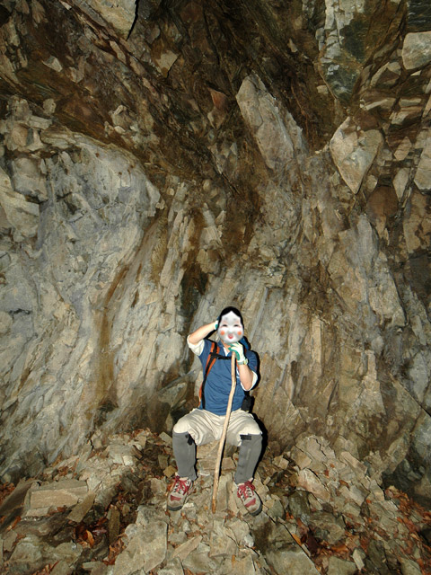 ���͐X�ѓS��,�ѓS,�p����,詓�,�g���l��,�㕔�O��,����c�я�