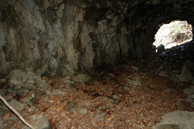 ���͐X�ѓS��,�ѓS,�p����,詓�,�g���l��,�㕔�O��,����c�я�