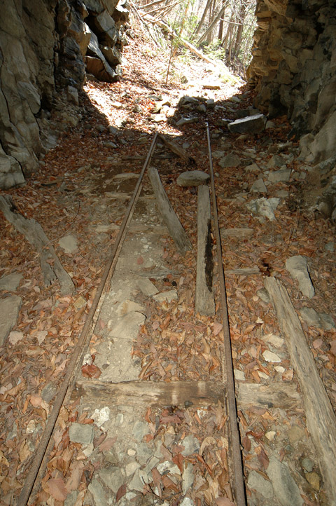 ���͐X�ѓS��,�ѓS,�p����,詓�,�g���l��,�㕔�O��,����c�я�