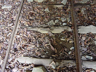 ���͐X�ѓS��,�ѓS,�p����,詓�,�g���l��,�㕔�O��,����c�я�