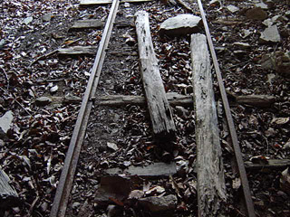 ���͐X�ѓS��,�ѓS,�p����,詓�,�g���l��,�㕔�O��,����c�я�