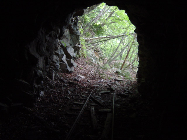 ����X�ѓS�����͐�,�ѓS,�p����,詓�,�g���l��,�f�@��