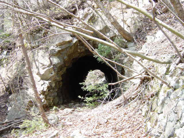 ����X�ѓS�����͐�,�ѓS,�p����,詓�,�g���l��,�f�@��