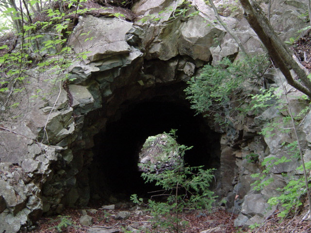 ����X�ѓS�����͐�,�ѓS,�p����,詓�,�g���l��,�f�@��