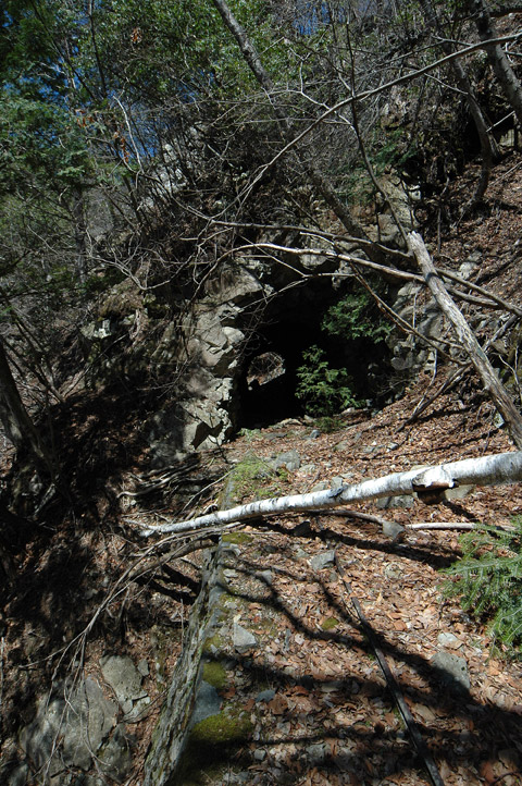 ����X�ѓS�����͐�,�ѓS,�p����,詓�,�g���l��,�f�@��