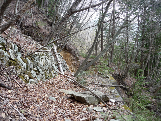 ���͐X�ѓS��,�ѓS,�p����,����c�я�,�O����