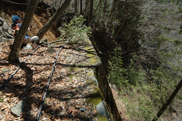 ���͐X�ѓS��,�ѓS,�p����,����c�я�,�O����