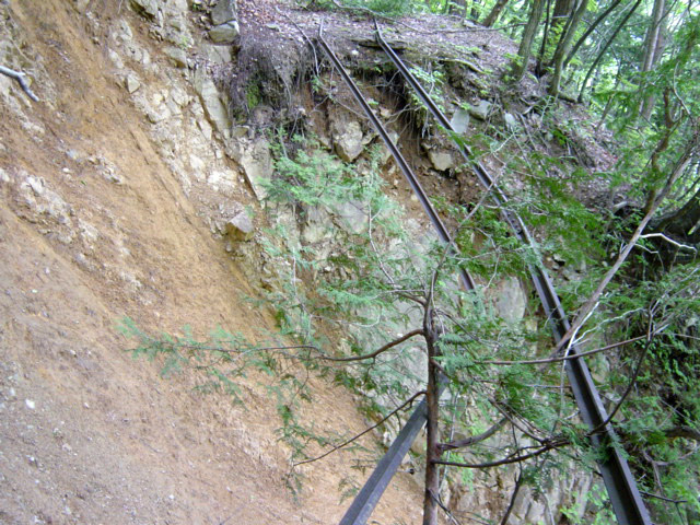 ���͐X�ѓS��,�ѓS,�p����,����c�я�,�O����,��������