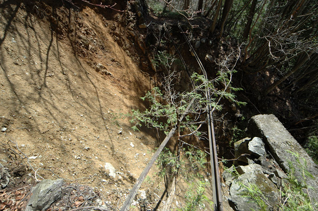 ���͐X�ѓS��,�ѓS,�p����,����c�я�,�O����,��������