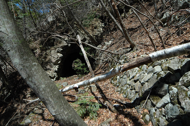 ���͗ѓS,�X�ѓS��,�p����,�㕔�O��,�O����,詓�,�g���l��