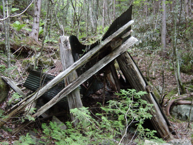 ���͐X�ѓS��,�ѓS,�p����,����c�я�,�O����,���ꏬ��,�㕔�O��