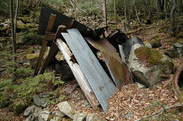 ���͐X�ѓS��,�ѓS,�p����,����c�я�,�O����,���ꏬ��,�㕔�O��