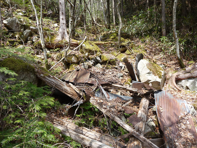 ���͐X�ѓS��,�ѓS,�p����,����c�я�,�O����,���ꏬ��,�㕔�O��