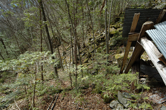 ���͐X�ѓS��,�ѓS,�p����,����c�я�,�O����,���ꏬ��,�㕔�O��