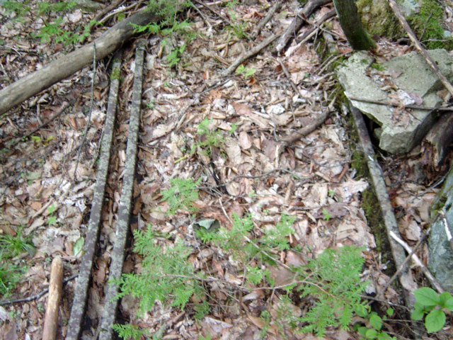 ���͐X�ѓS��,�ѓS,�p����,����c�я�,�O����,���H,�㕔�O��,���[��