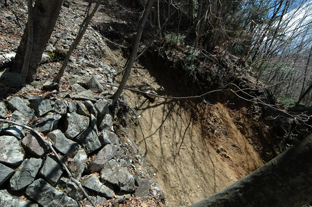 ���͐X�ѓS��,�ѓS,�p����,����c�я�,�O����,��������