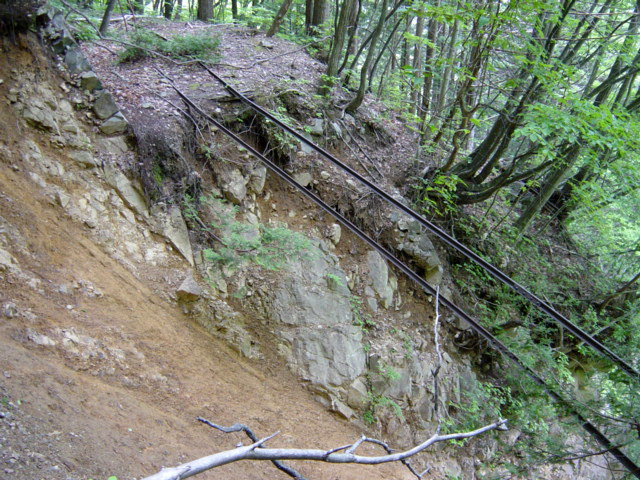 ���͗ѓS,�X�ѓS��,�p����,�㕔�O��,�O����,����c�я�,��������,���