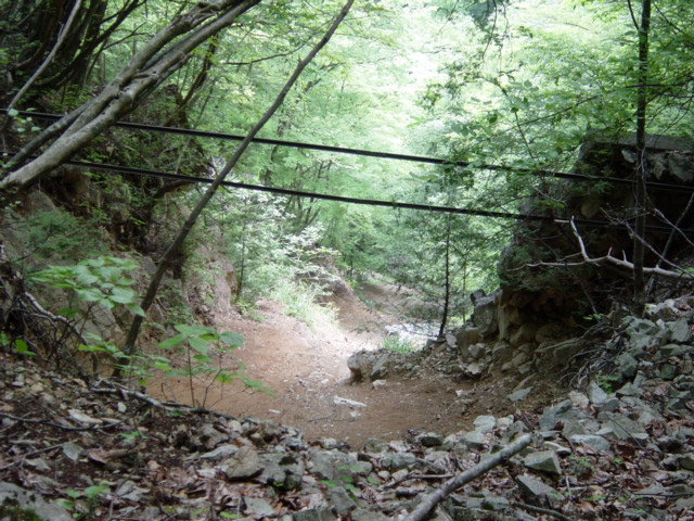 ���͗ѓS,�X�ѓS��,�p����,�㕔�O��,�O����,����c�я�,��������,���