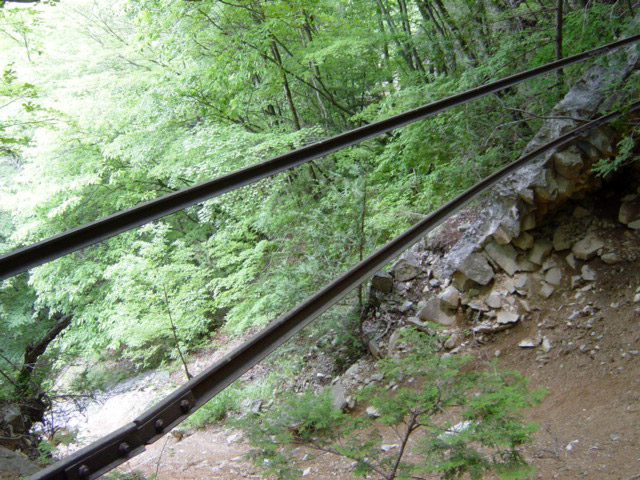 ���͗ѓS,�X�ѓS��,�p����,�㕔�O��,�O����,����c�я�,��������,���