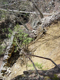 ���͐X�ѓS��,�ѓS,�p����,����c�я�,�O����,��������,���