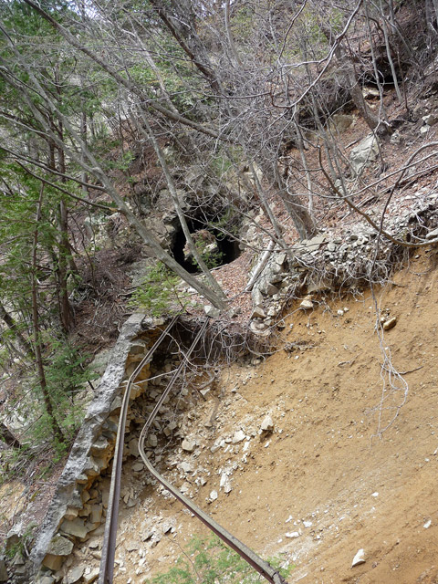 ���͐X�ѓS��,�ѓS,�p����,����c�я�,�O����,��������,���