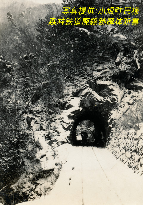 ���͐X�ѓS��,�ѓS,���[��,����c�я�,�O����,��������,���