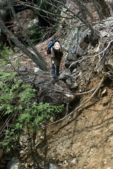 ���͐X�ѓS��,�ѓS,�p����,����c�я�,�O����,��������,���