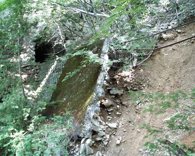 ���͐X�ѓS��,�ѓS,�p����,����c�я�,�O����,��������,���