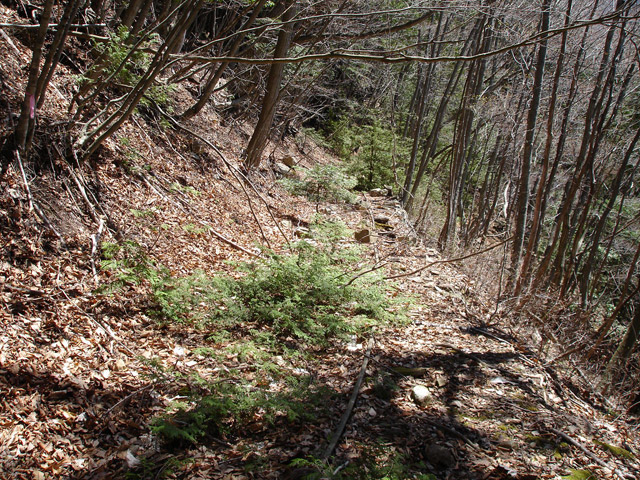 ���͐X�ѓS��,�ѓS,�p����,����c�я�,�O����,���