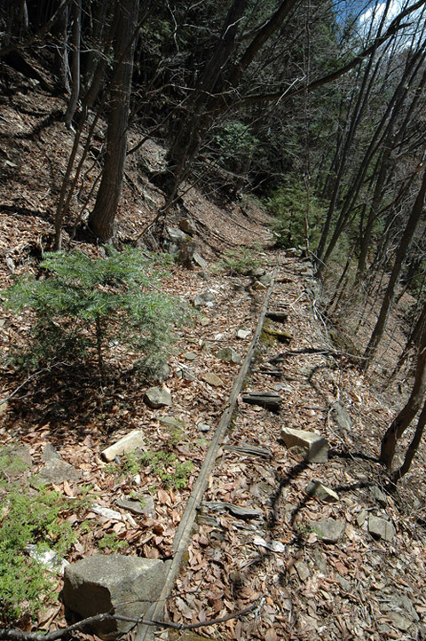 ���͐X�ѓS��,�ѓS,�p����,����c�я�,�O����,���