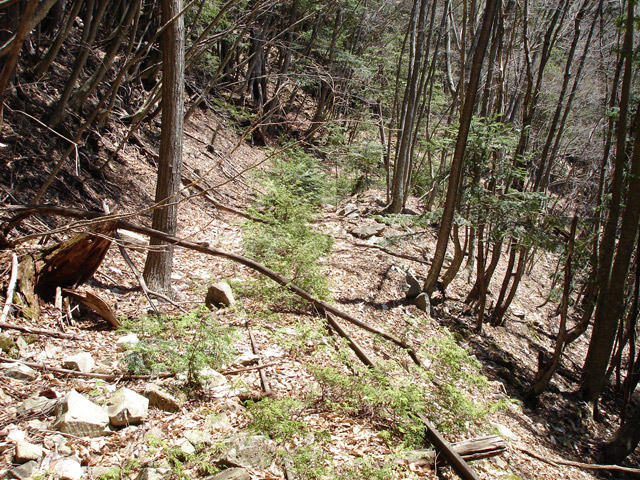 ���͐X�ѓS��,�ѓS,�p����,����c�я�,�O����,���