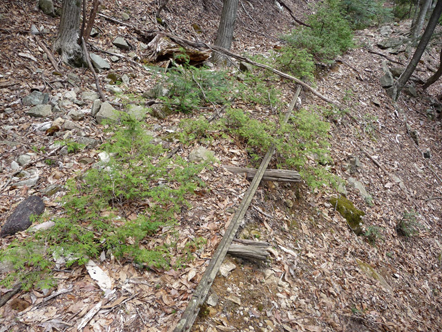 ���͐X�ѓS��,�ѓS,�p����,����c�я�,�O����,���