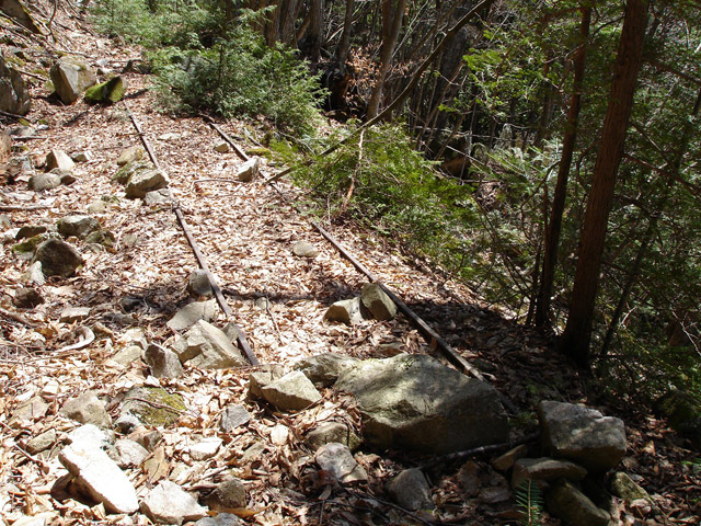 ���͐X�ѓS��,�ѓS,�p����,����c�я�,�O����,���