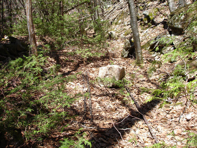 ���͗ѓS,�X�ѓS��,�p����,�㕔�O��,�O����,����c�я�,���