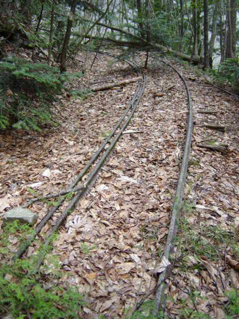 ���͗ѓS,�X�ѓS��,�p����,�㕔�O��,�O����,����c�я�,���