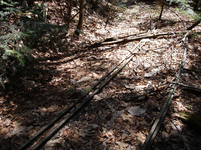 ���͗ѓS,�X�ѓS��,�p����,�㕔�O��,�O����,����c�я�,���