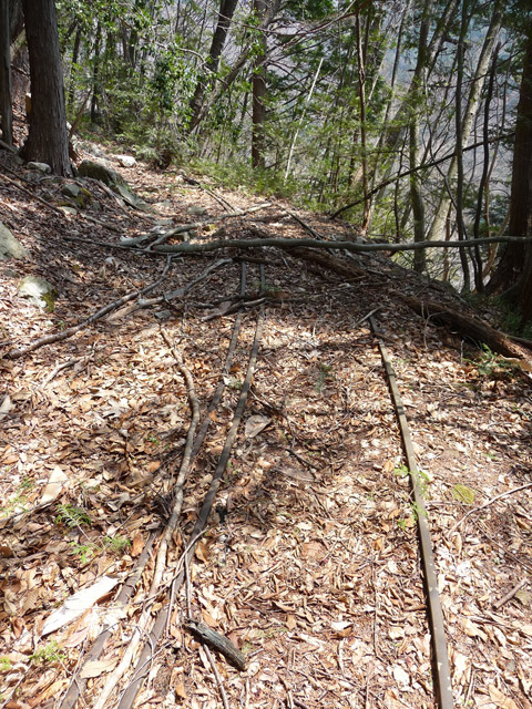 ����X�ѓS�����͐�,�ѓS,�p����,�O����,�㕔�O��