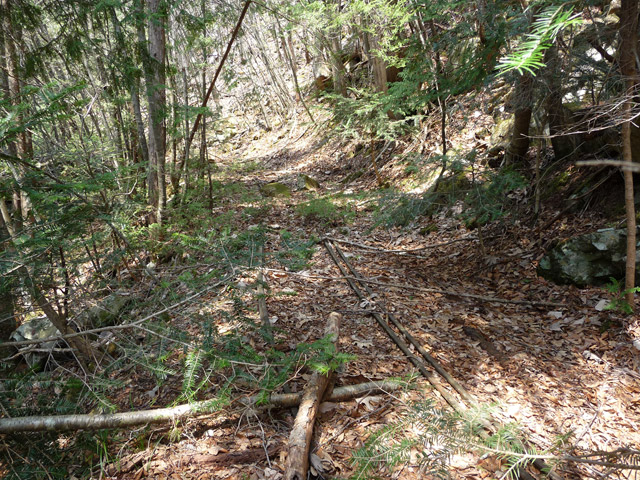 ����X�ѓS�����͐�,�ѓS,�p����,�O����,�㕔�O��