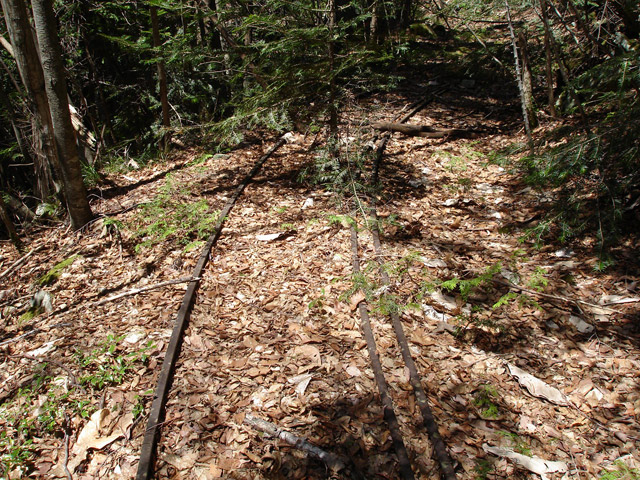 ����X�ѓS�����͐�,�ѓS,�p����,�O����,�㕔�O��