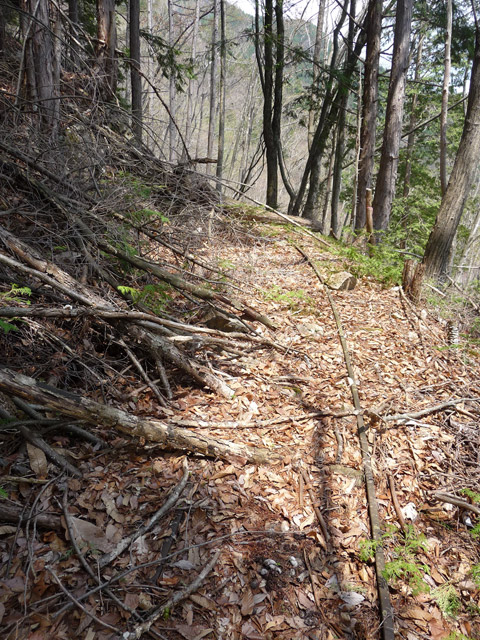 ����X�ѓS�����͐�,�ѓS,�p����,�O����,�㕔�O��