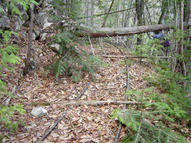 ����X�ѓS�����͐�,�ѓS,�p����,�O����,�㕔�O��