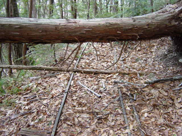 ����X�ѓS�����͐�,�ѓS,�p����,�O����,�㕔�O��