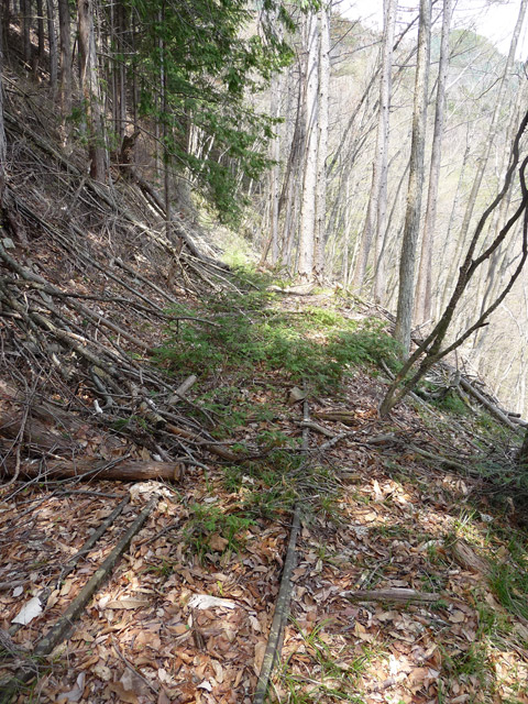 ���͗ѓS,�X�ѓS��,�p����,�㕔�O��,�O����,����c�я�,���